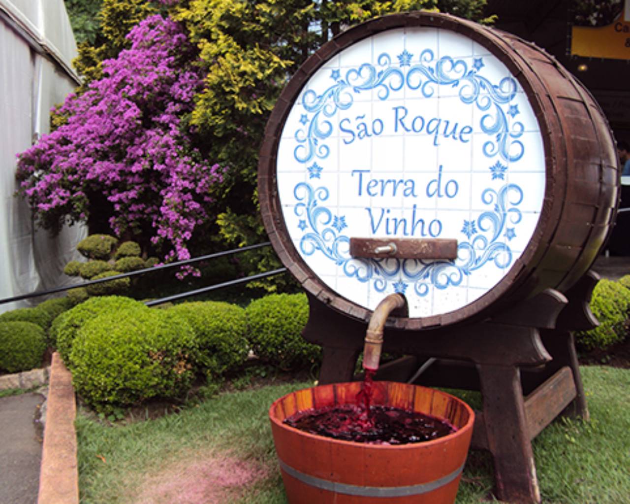 Excurs O Para S O Roque Terra Do Vinho Lins Bauru E Regi O Em