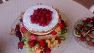 Torta Naked Cake De Frutas Vermelhas Em Ourinhos SP Classificados