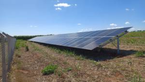 Energia Solar Para Agroneg Cio Em Catanduva Sp Classificados Solutudo