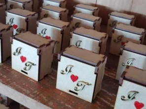 Foto de Mimus Phinos em Pederneiras, SP por Solutudo