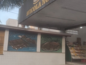 Foto galeria da empresa