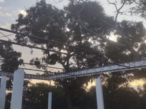 Foto de L&M Toldos e Coberturas em Rio de Janeiro, RJ por Solutudo