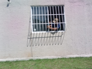 Foto de L&M Toldos e Coberturas em Rio de Janeiro, RJ por Solutudo