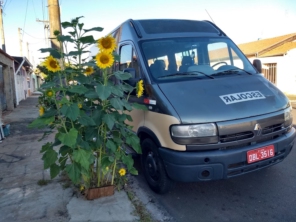 Foto de M&S Transporte Escolar em Itapira, SP por Solutudo