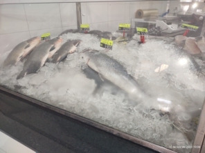 Foto de Mineiro Pescados em Caraguatatuba, SP por Solutudo