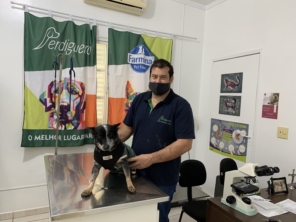 Foto galeria da empresa