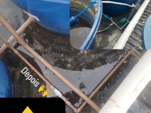Foto de Alpha Home Construções e Reformas em Salvador, BA por Solutudo