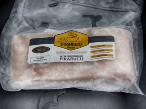 Foto galeria da empresa