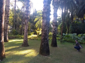 Foto galeria da empresa