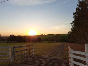 Foto de Apiário Guaianás em Pederneiras, SP por Solutudo