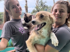 Foto galeria da empresa