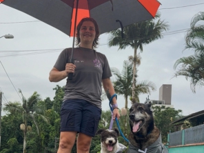 Foto de CãoMiada | Serviços Pet em Joinville, SC por Solutudo
