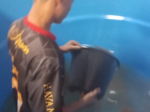 Foto de IF Marido de Aluguel - Manutenção Geral Residencial e Comercial em Uberlândia, MG por Solutudo