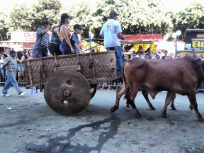 Foto de Real Materiais De Construção & Disk Caçamba Itaperuna em Itaperuna, RJ por Solutudo