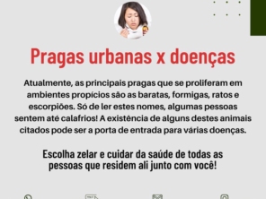 Foto de Lg Pragas em Uruçuí, PI por Solutudo