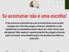 Foto de Lg Pragas em Uruçuí, PI por Solutudo