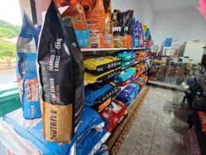 Foto galeria da empresa