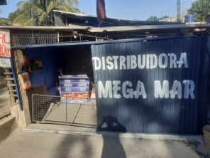 Foto galeria da empresa