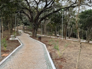 Foto de Bosque das Luzes em Santa Cruz do Rio Pardo, SP por Solutudo