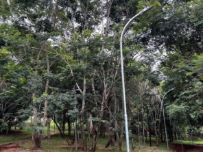 Foto de Bosque das Luzes em Santa Cruz do Rio Pardo, SP por Solutudo