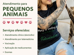 Imagem de galeria