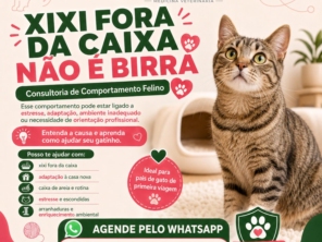 Imagem de galeria