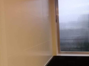 Foto de Didilso Lavagem a Seco em Penápolis, SP por Solutudo