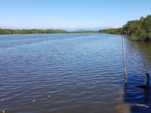 Foto de Sachio Narazaki em Paranaguá, PR por Solutudo