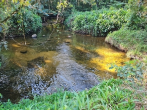 Foto de Cachoeira do Perequê em Peruíbe, SP por Solutudo