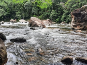 Foto de Cachoeira do Perequê em Peruíbe, SP por Solutudo