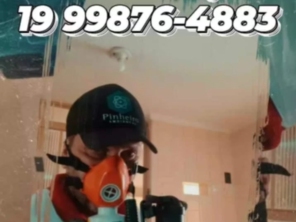 Imagem de galeria