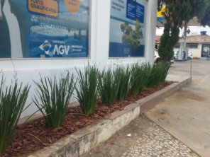 Flora Bonfim