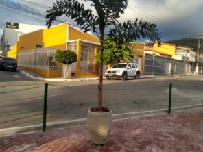 Flora Bonfim