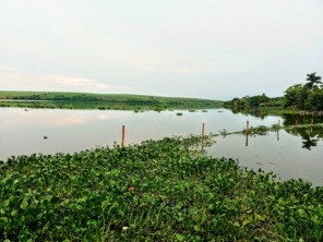 Foto de Rancho das Palmeiras em Pederneiras, SP por Solutudo