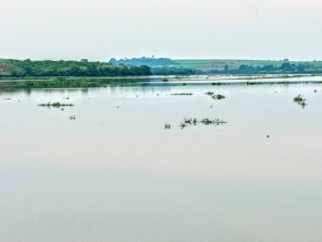 Foto de Rancho das Palmeiras em Pederneiras, SP por Solutudo