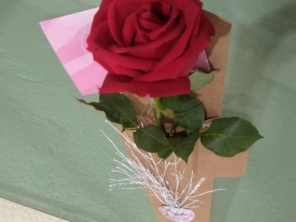 Foto de Recanto Das Flores Embu em Embu das Artes, SP por Solutudo