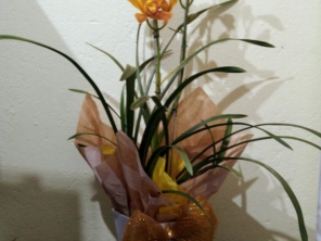 Foto de Recanto Das Flores Embu em Embu das Artes, SP por Solutudo