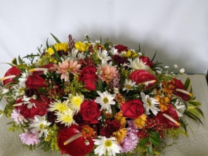 Foto de Recanto Das Flores Embu em Embu das Artes, SP por Solutudo