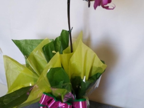 Foto de Recanto Das Flores Embu em Embu das Artes, SP por Solutudo