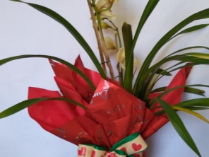 Foto de Recanto Das Flores Embu em Embu das Artes, SP por Solutudo