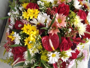 Foto de Recanto Das Flores Embu em Embu das Artes, SP por Solutudo