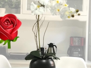 Foto de Recanto Das Flores Embu em Embu das Artes, SP por Solutudo