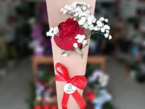 Foto de Recanto Das Flores Embu em Embu das Artes, SP por Solutudo