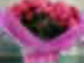 Foto de Recanto Das Flores Embu em Embu das Artes, SP por Solutudo