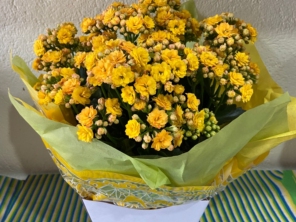Foto de Recanto Das Flores Embu em Embu das Artes, SP por Solutudo