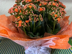 Foto de Recanto Das Flores Embu em Embu das Artes, SP por Solutudo