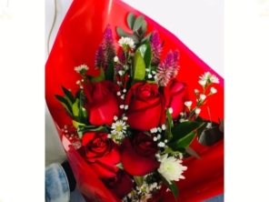 Foto de Recanto Das Flores Embu em Embu das Artes, SP por Solutudo