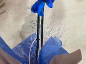 Foto de Recanto Das Flores Embu em Embu das Artes, SP por Solutudo