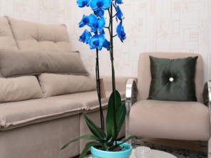 Foto de Recanto Das Flores Embu em Embu das Artes, SP por Solutudo