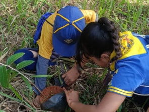 Foto galeria da empresa